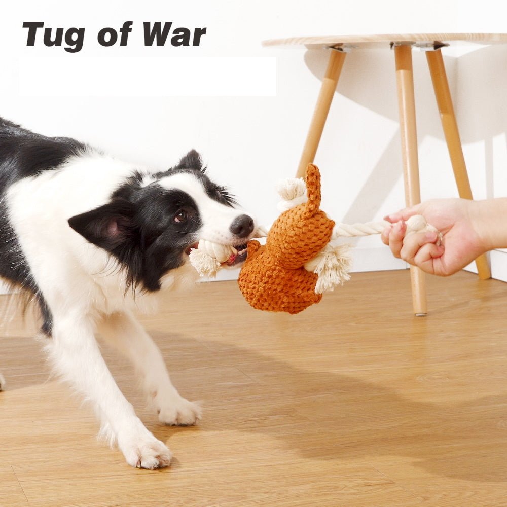 Marley Monkey Rope Squeaker Toy - Plush and Rope Toys from . at DoggyTopia
