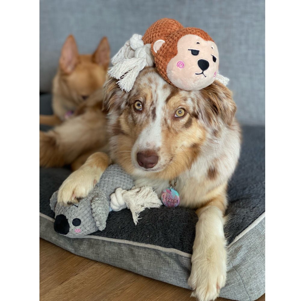 Marley Monkey Rope Squeaker Toy - Plush and Rope Toys from . at DoggyTopia