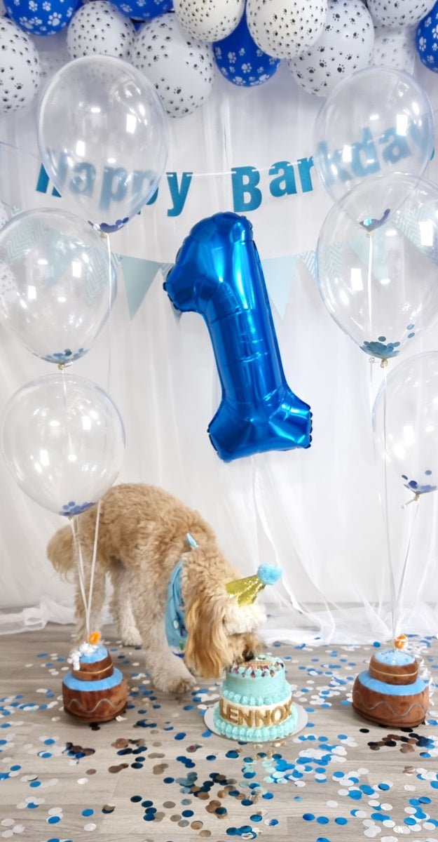 Number & Star Foil Balloon Set - Blue - Party Balloons from . at DoggyTopia
