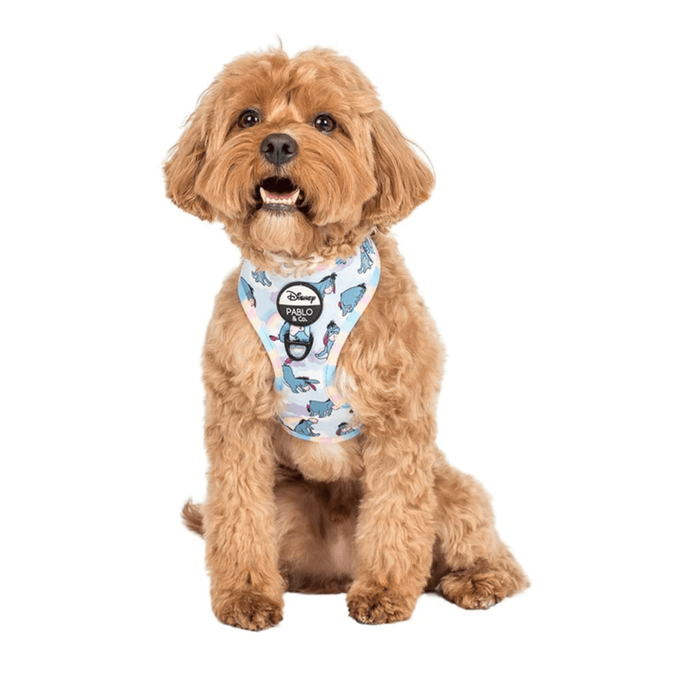 Pablo & Co Eeyore: Adjustable Harness - Adjustable Harnesses from Pablo & Co Disney at DoggyTopia