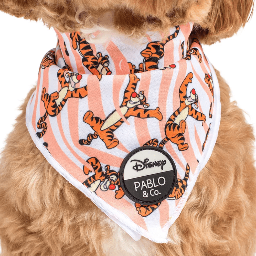 Pablo & Co One of a Kind Tigger: Bandana - Bandanas from Pablo & Co Disney at DoggyTopia