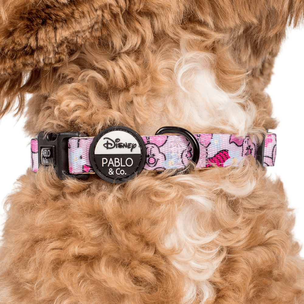 Pablo & Co Piglet: Dog Collar - Collars from Pablo & Co Disney at DoggyTopia