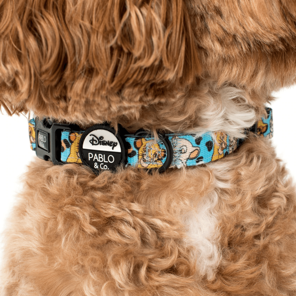 Pablo & Co The Lion King: Dog Collar - Collars from Pablo & Co Disney at DoggyTopia