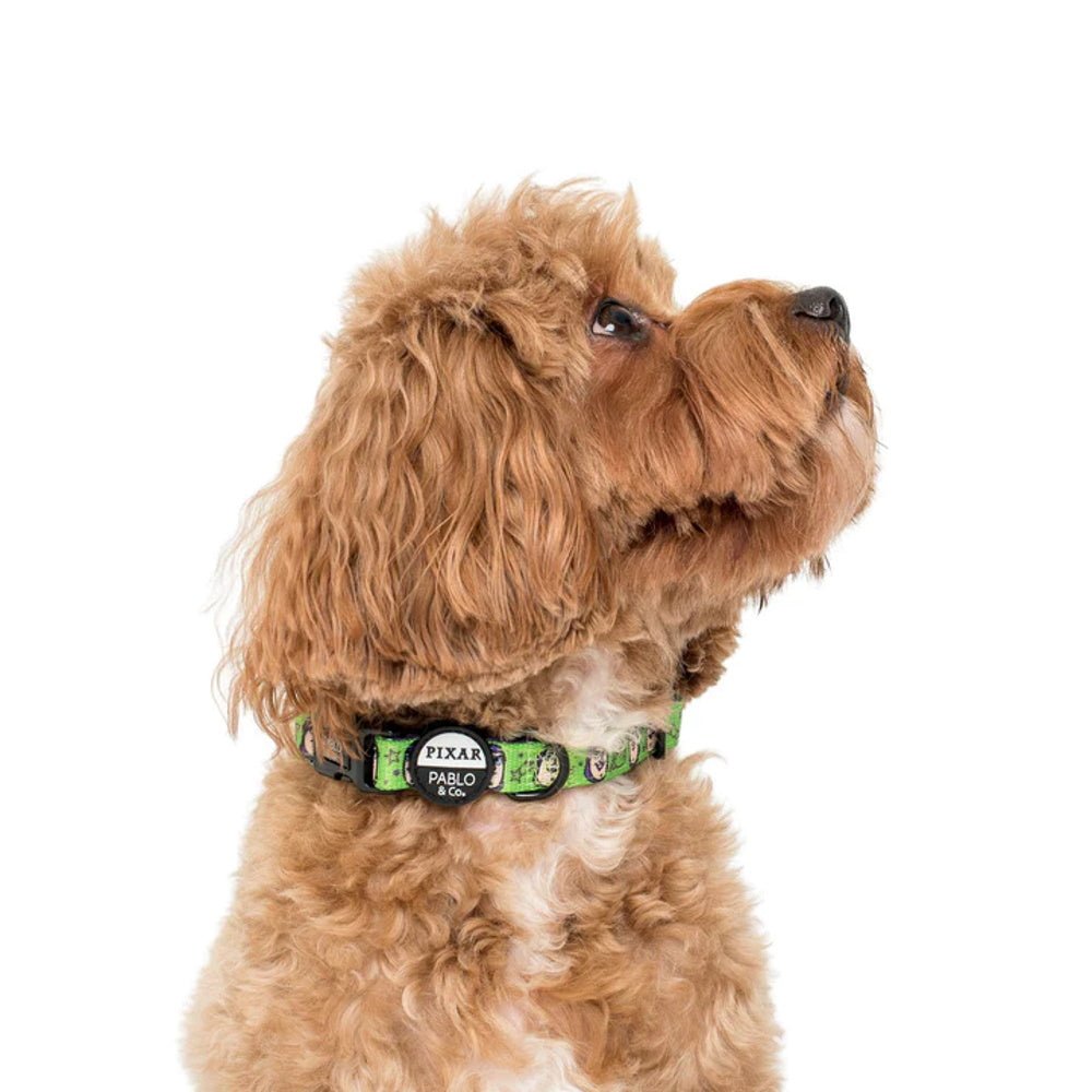 Pablo & Co Toy Story - Buzz Lightyear: Dog Collar - Collars from Pablo & Co Disney at DoggyTopia