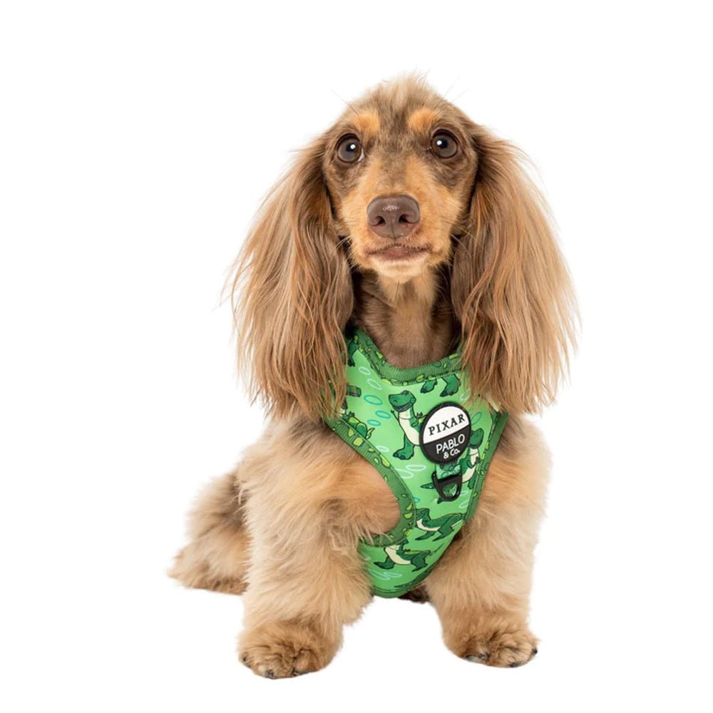 Pablo & Co Toy Story - Rex: Adjustable Harness - Adjustable Harnesses from Pablo & Co Disney at DoggyTopia