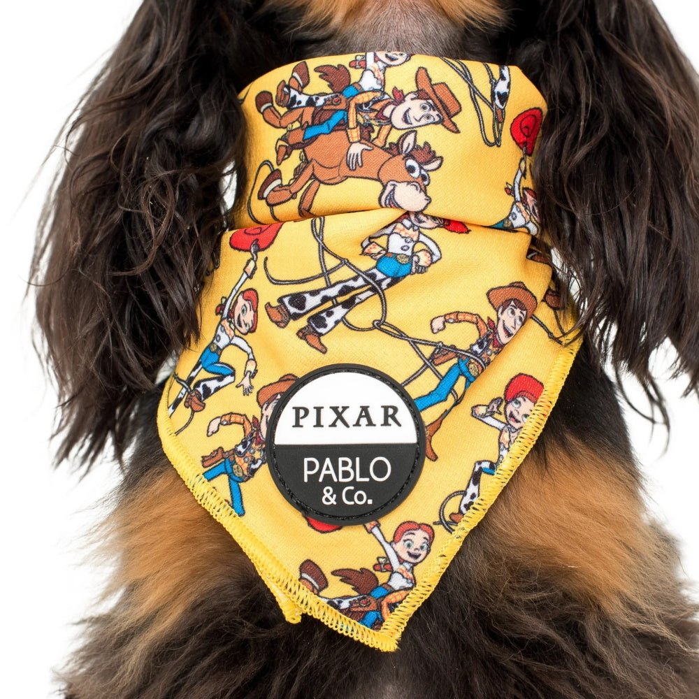 Pablo & Co Toy Story - Woody's Roundup: Bandana - Bandanas from Pablo & Co Disney at DoggyTopia