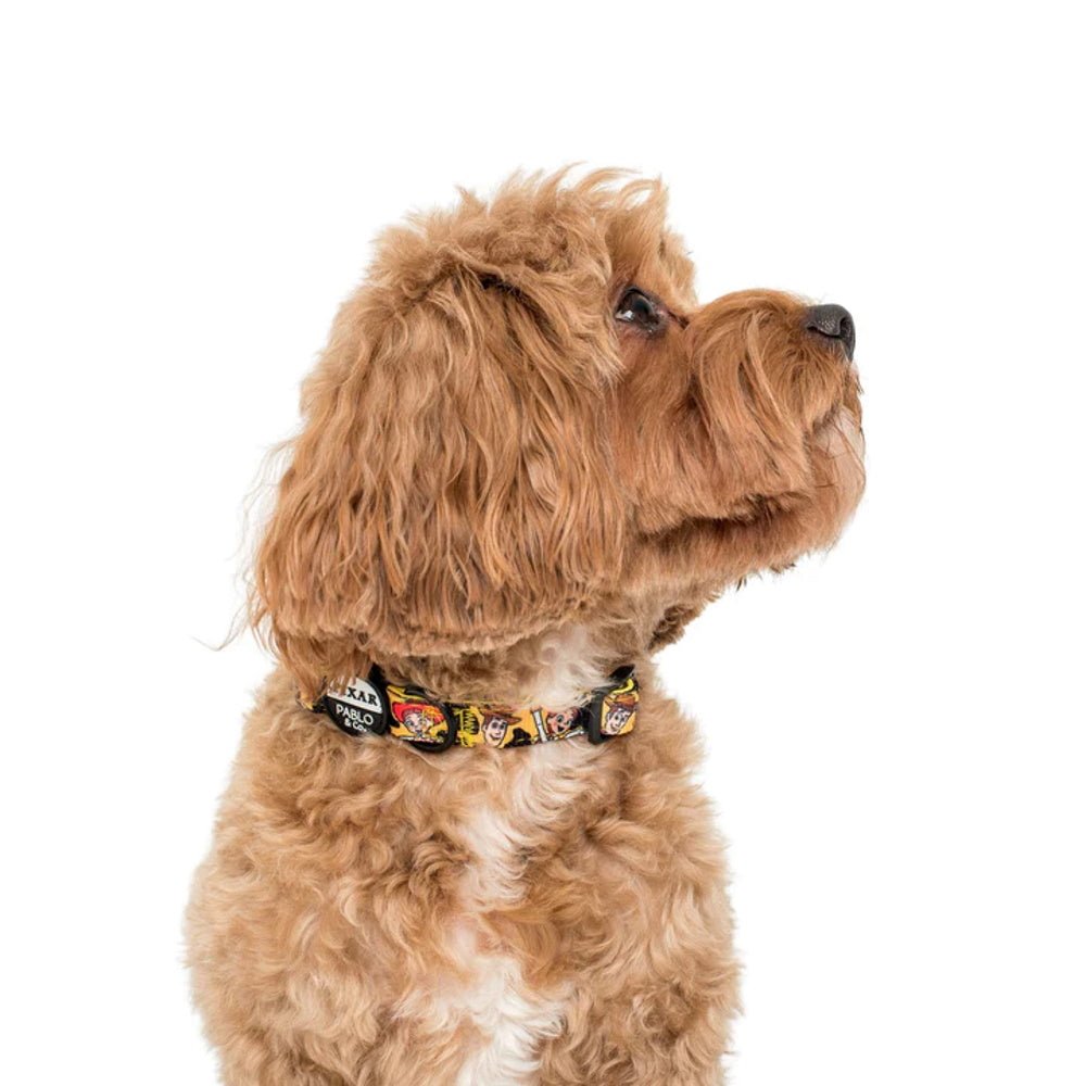 Pablo & Co Toy Story - Woody's Roundup: Dog Collar - Collars from Pablo & Co Disney at DoggyTopia