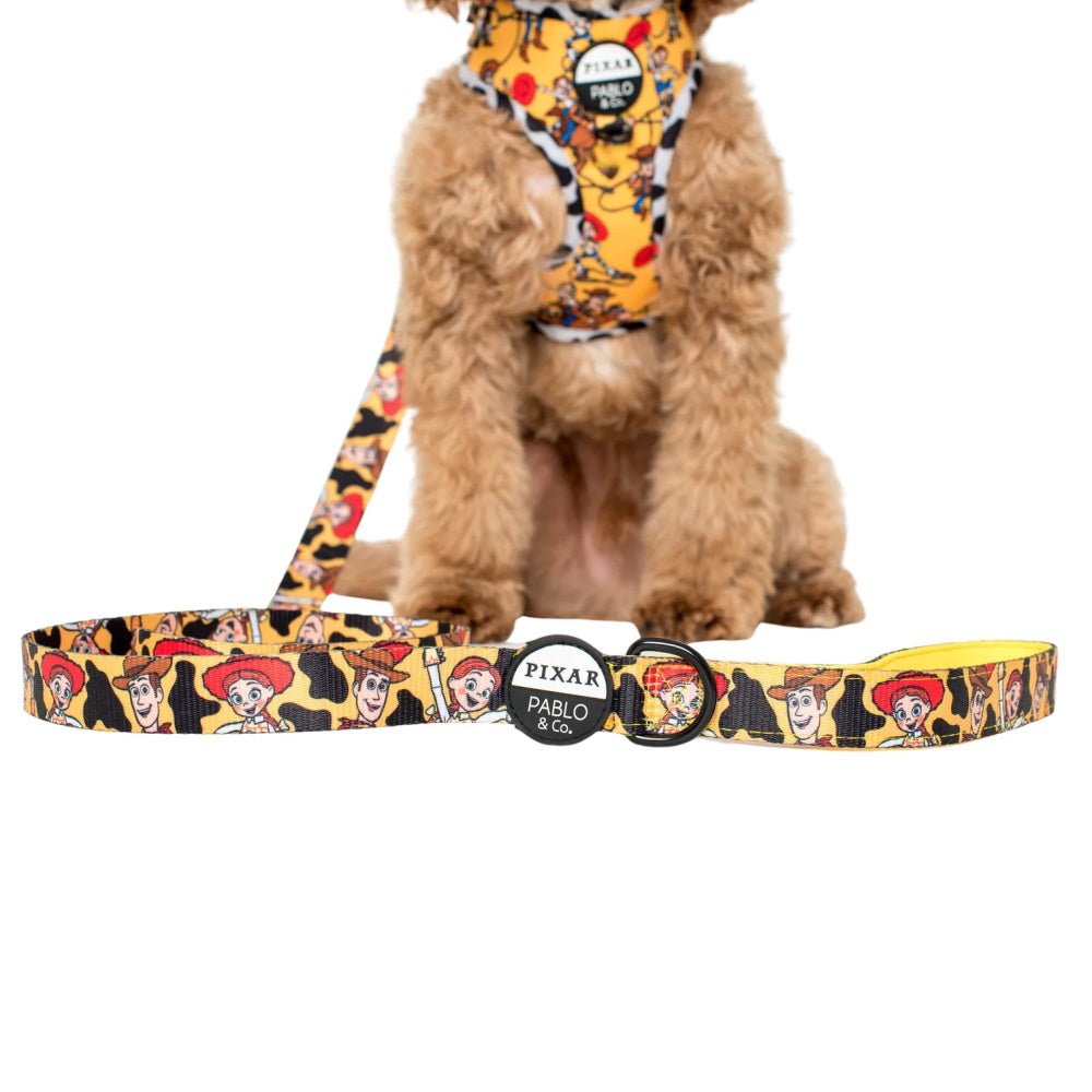 Pablo & Co Toy Story - Woody's Roundup: Dog Leash - Leashes & Leads from Pablo & Co Disney at DoggyTopia