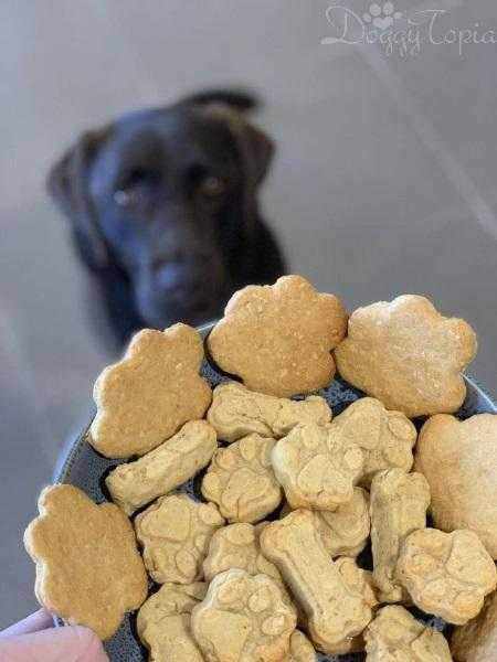 Paws and Bones Silicone Mould - Moulds from . at DoggyTopia