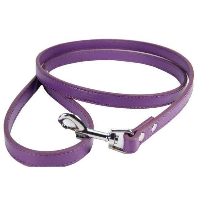 PU Leather Dog Leash 120cmDoggyTopia