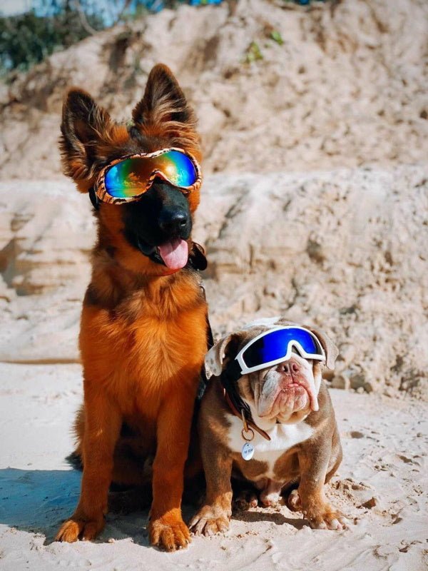 Rebel Dog Goggles - Dog Goggles from . at DoggyTopia