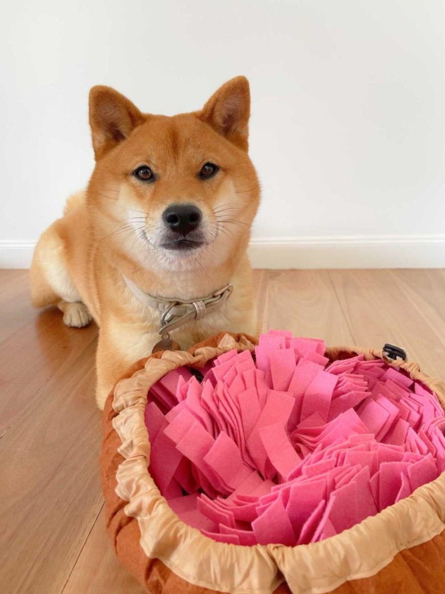 Snuffle Bowl Mat - Snuffle Mats from . at DoggyTopia